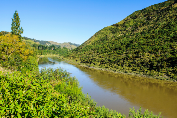 Whanganui : la première fleuve du monde qui a une personnalité juridique